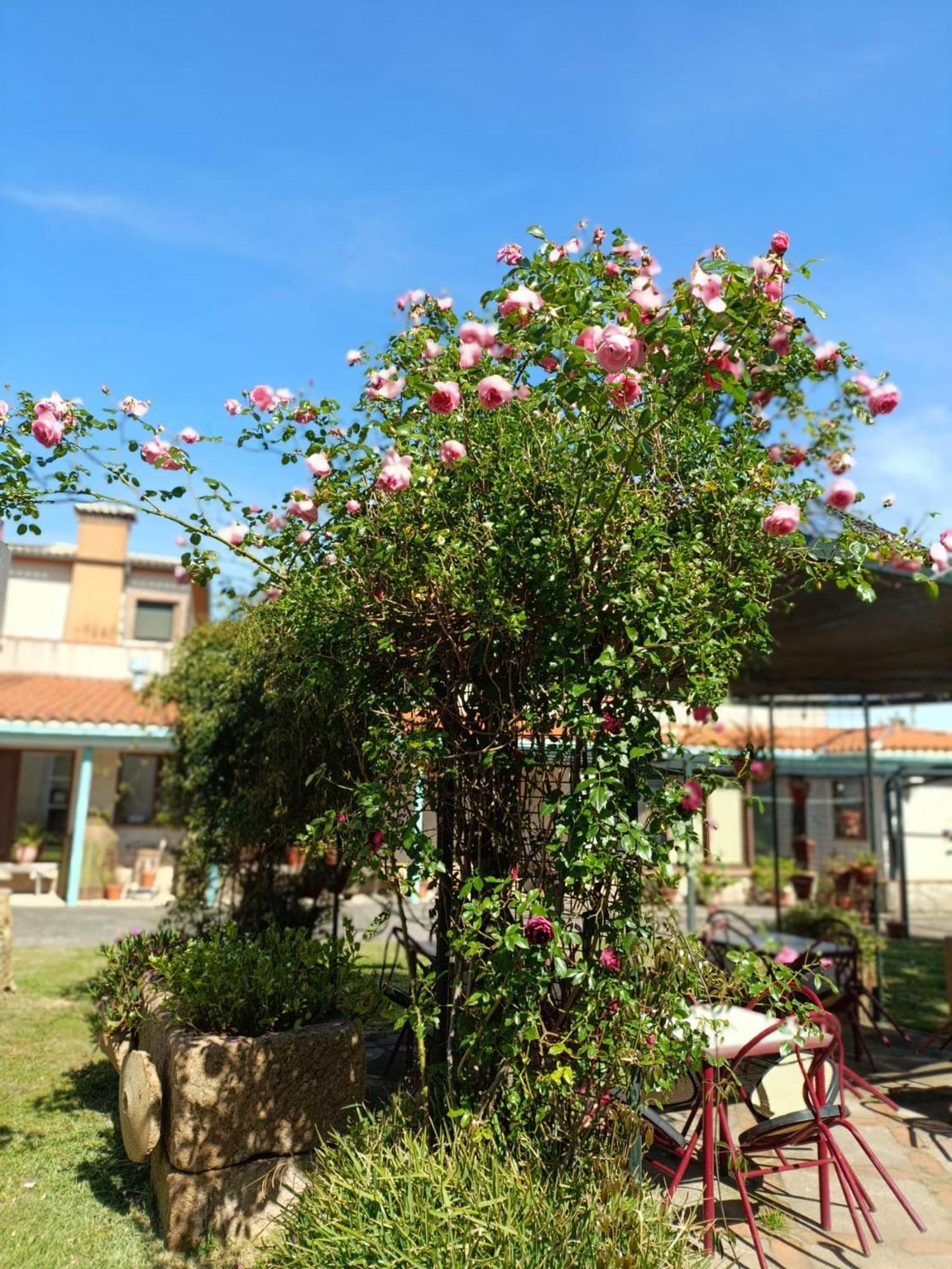 Casa Rural Del Corral Malpartida De Plasencia Ngoại thất bức ảnh